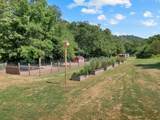 3441 Highway 231 - Photo 14