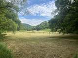 3441 Highway 231 - Photo 21