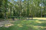 7638 Younger Creek Rd - Photo 78