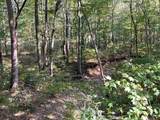 3 John Ross Hollow - Photo 7