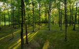 1 Peach Hollow Rd - Photo 17