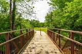 156 Hackney Ln - Photo 69