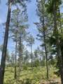 0 Saddleback Drive - Photo 2