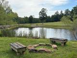 202 Deep Woods Drive - Photo 4