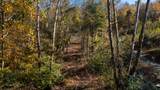 151 Angels Cove Ln - Photo 2