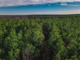 0 Brush Creek Rd - Photo 1