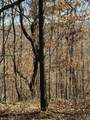 4690 Split Rail Way - Photo 14