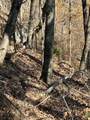 4690 Split Rail Way - Photo 16