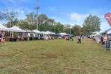 417 Blue Hills Dr - Photo 45