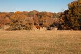 7252 Northwest Hwy - Photo 4