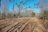 0 Bell Branch Road - Photo 11