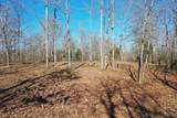 0 Bell Branch Road - Photo 12