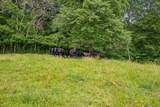 8663 Dog Creek Rd - Photo 23