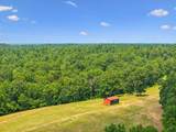 8663 Dog Creek Rd - Photo 37