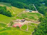 8663 Dog Creek Rd - Photo 41