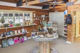 299 Natural Bridge Park Rd - Photo 28