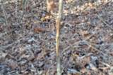 0 Shotgun Annie Rd - Photo 22