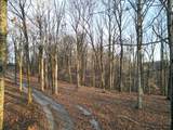 5010 Chinkapin Ln - Photo 22