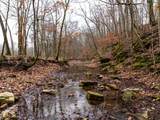 0 Shelter Branch Road - Photo 13