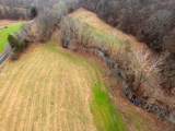 0 Shelter Branch Road - Photo 8