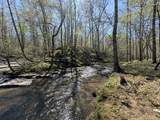 0 Allens Creek Road - Photo 57