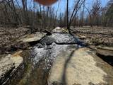 0 Allens Creek Road - Photo 64