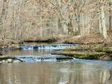 0 Allens Creek Road - Photo 65