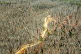 0 Puncheon Creek Lane - Photo 48