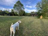 7139 Kingston Rd - Photo 4