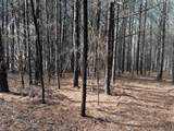 3290 Crockett Point - Photo 11