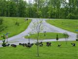 55 Eagles Landing - Photo 49