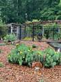 2675 Mockingbird Hill Rd - Photo 2