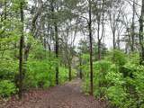 1865 Carters Creek Pike - Photo 39