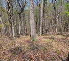 5 Acres Benton Tidwell Rd - Photo 5