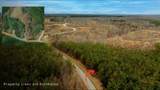 8072 Old Hohenwald Rd - Photo 3