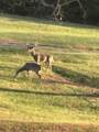 5946 Se Tater Peeler Rd - Photo 3