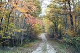102 Swimming Deer Lot 14B - Photo 19