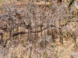 635 Cane Creek Rd - Photo 94