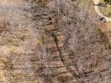 635 Cane Creek Rd - Photo 96