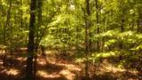 1188 Timberwood Trce - Photo 9