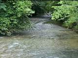 4073 New Highway 96 - Photo 58