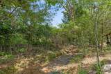 10334 Magnolia Farm Drive - Photo 46