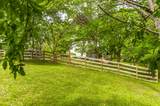 3240 Knob Creek Rd - Photo 13