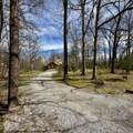 3162 Northcutts Cove Rd - Photo 5