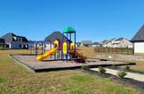 3407 Stonehorn Dr - Photo 32