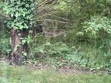 2535 Bridgeway St - Photo 3