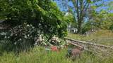 2105 Deer Lodge Hwy - Photo 17