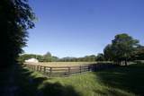 8238 Hawkins Rd - Photo 15