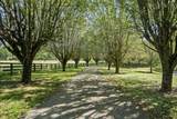 8238 Hawkins Rd - Photo 8