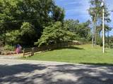 0 Joy - Photo 3